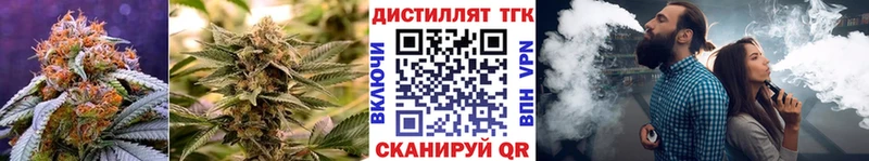 Купить закладки  Зверево  ТГК жижа 