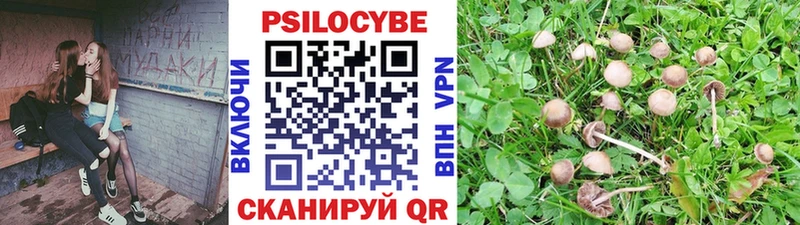 Купить закладки  Зверево  Галлюциногенные грибы GOLDEN TEACHER 